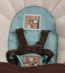 graco swing by me with 5 point safety harness
